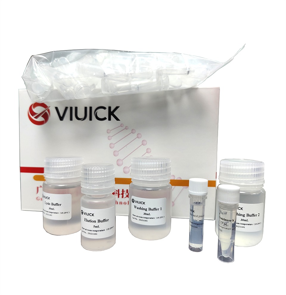 Kit Diagnostik untuk Coxsackievirus A2, A4, A8, dan A10 RNA 