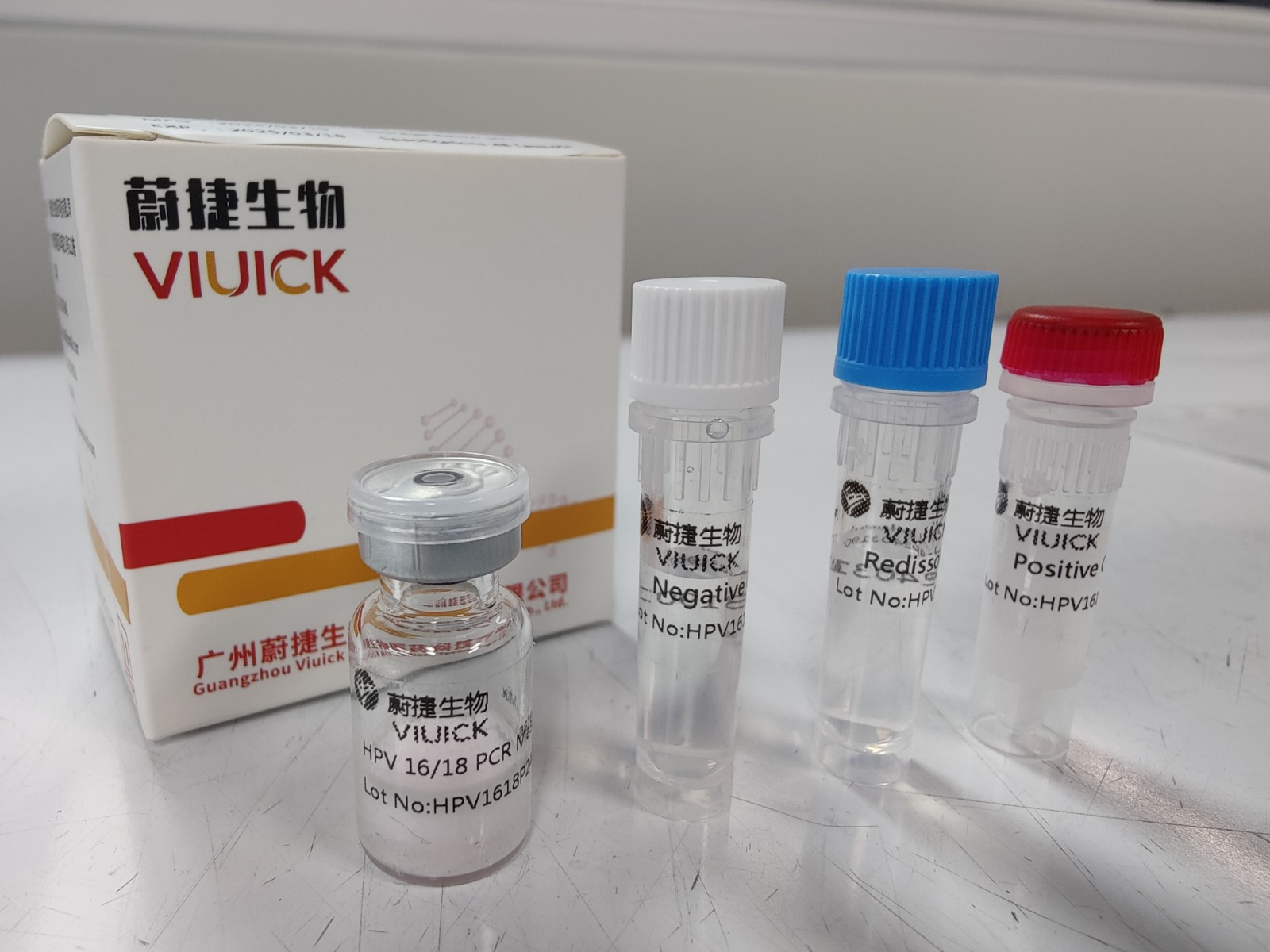 Cattle Brucella bovis (BS) Detection Kit – Diagnostik Molekuler Akurat untuk Deteksi Bruselosis pada Sapi